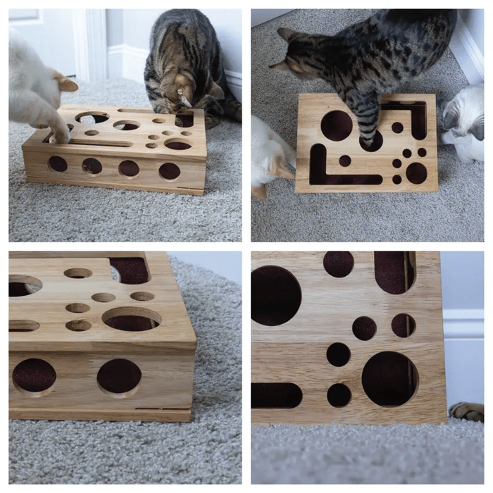 Cat Enrichment File Box | The Fun Way To Trim Claws