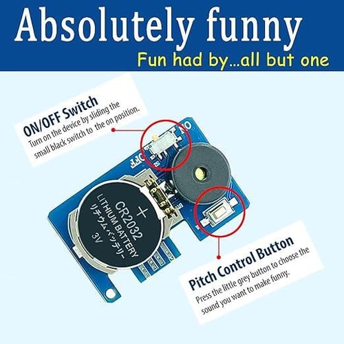 Cricket Noise Prank Toy