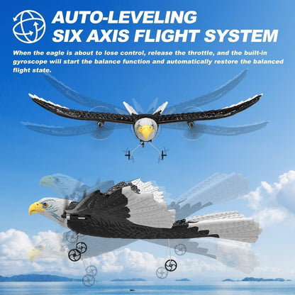 2.4GHz Remote Control Eagle Bird with Built-in Battery, Safe for Ages 8+