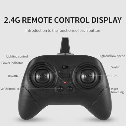 2.4GHz Remote Control Eagle Bird with Built-in Battery, Safe for Ages 8+