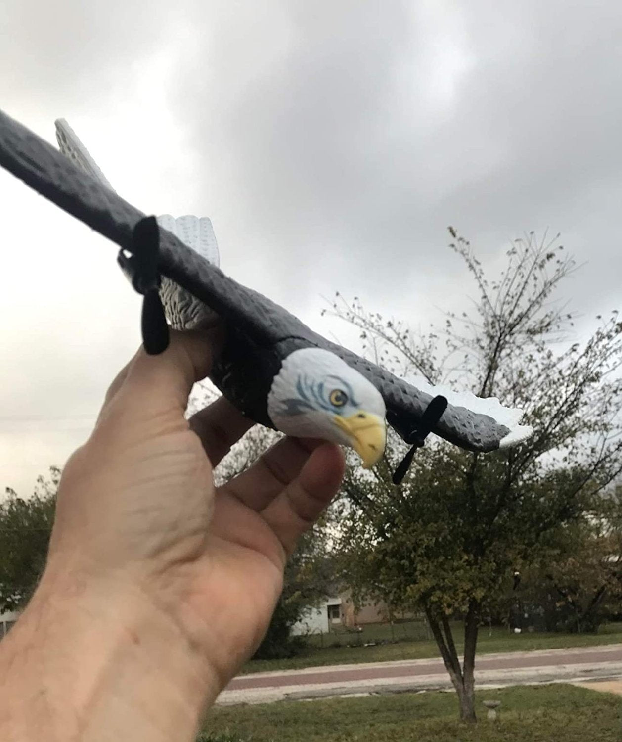 2.4GHz Remote Control Eagle Bird with Built-in Battery, Safe for Ages 8+