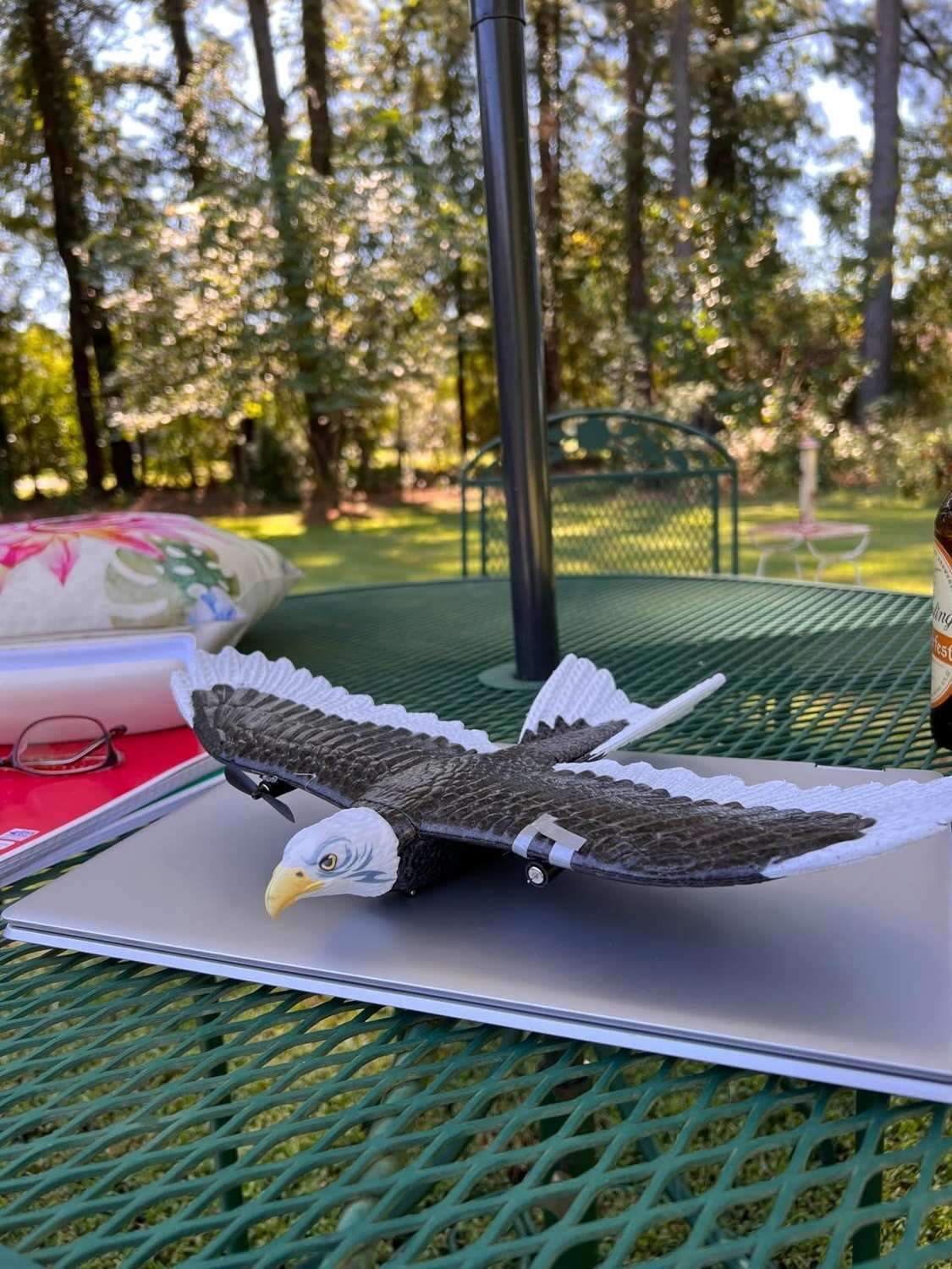 2.4GHz Remote Control Eagle Bird with Built-in Battery, Safe for Ages 8+