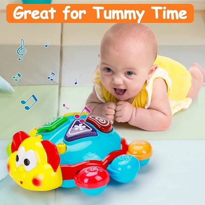 360° Musical Crawling Turtle Toy with Light Up, Bilingual Learning, Animal Sounds, Safe for Months 6+