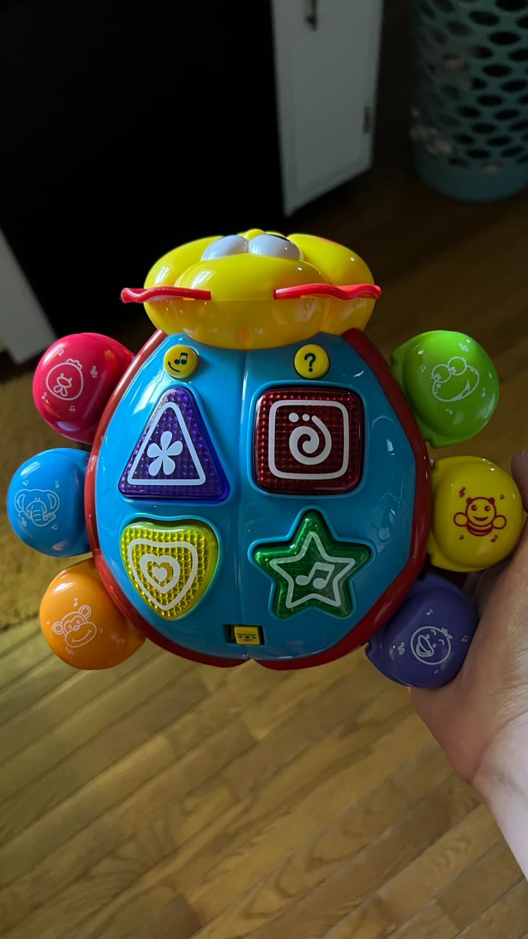 360° Musical Crawling Turtle Toy with Light Up, Bilingual Learning, Animal Sounds, Safe for Months 6+