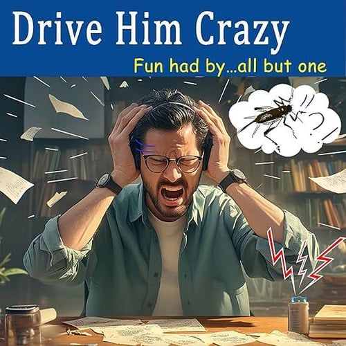 Cricket Noise Prank Toy