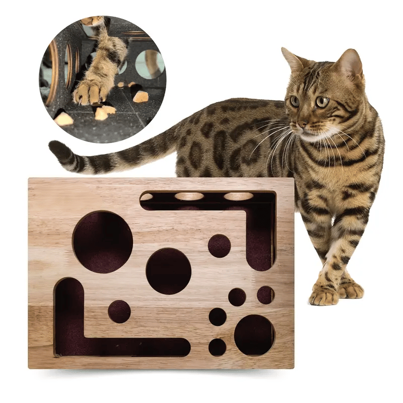 Cat Enrichment File Box | The Fun Way To Trim Claws