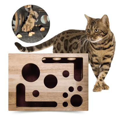 Cat Enrichment File Box | The Fun Way To Trim Claws