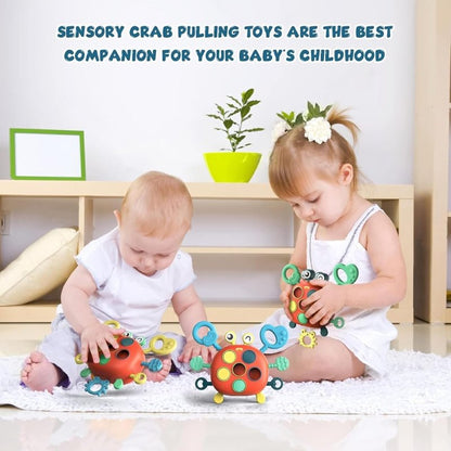 Baby Crab Toy with Teether, Fun Music & Sounds, Early Educational, Safe for Ages 6 month+