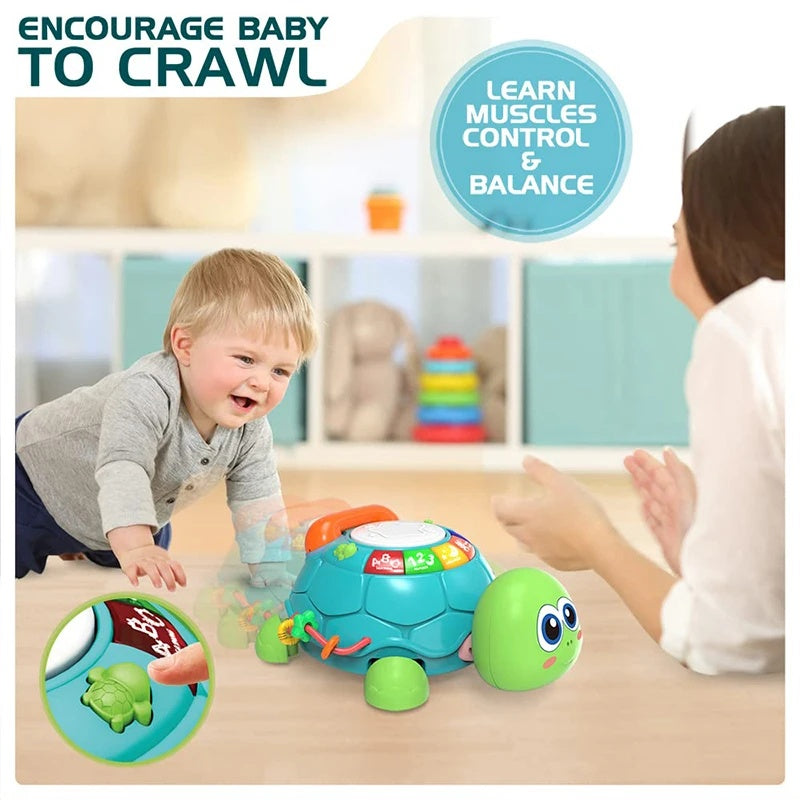 Baby Musical Turtle Toy with Light & Sound, Safe for Ages 6 Months +