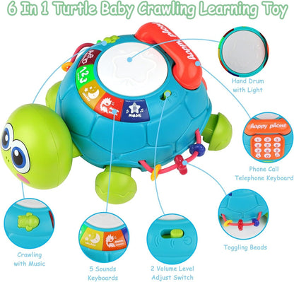 Baby Musical Turtle Toy with Light & Sound, Safe for Ages 6 Months +