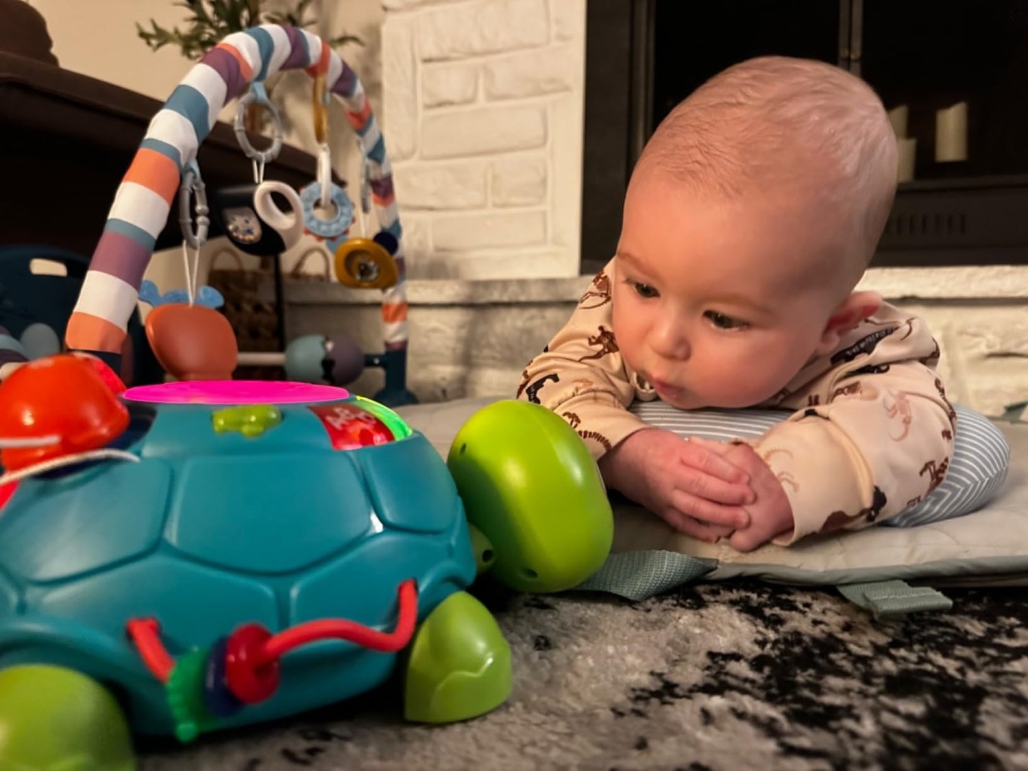 Baby Musical Turtle Toy with Light & Sound, Safe for Ages 6 Months +