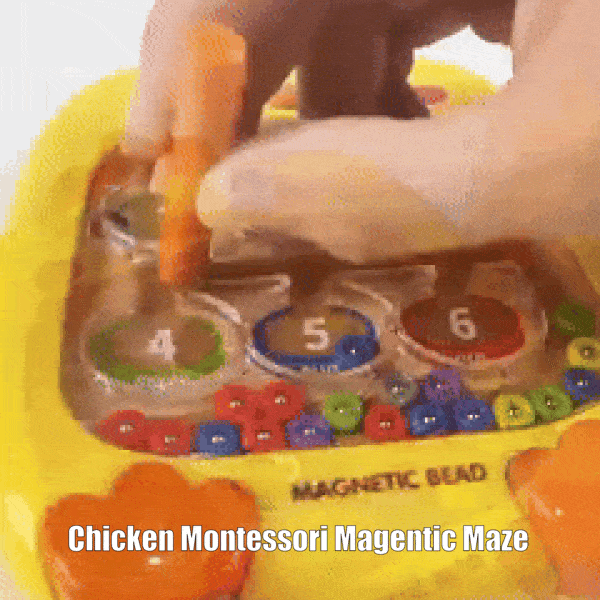 Chicken Montessori Magnetic Maze Educational Toy with Acrylic Cover, Safe for Ages 3+