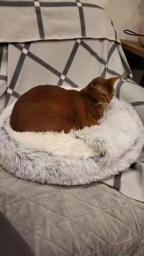 Cozy Bed for Dogs and Cats with Plush Soft Material, Self-Warming Insulation