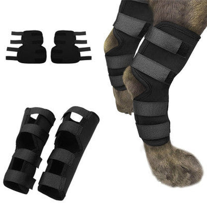 Dog Leg Brace Support for Injury Recovery & Protection