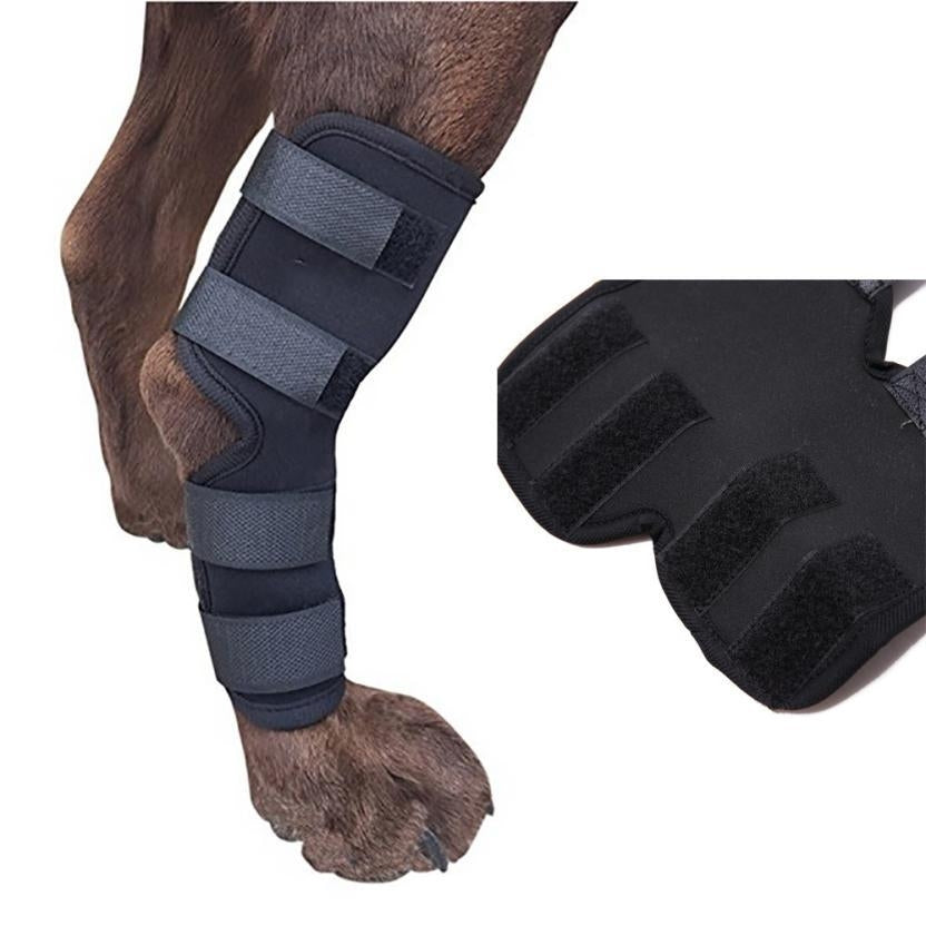 Dog Leg Brace Support for Injury Recovery & Protection