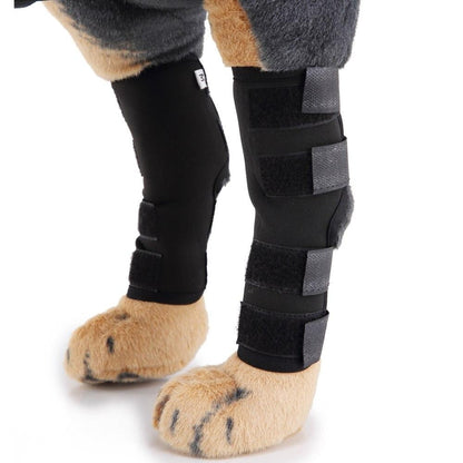 Dog Leg Brace Support for Injury Recovery & Protection