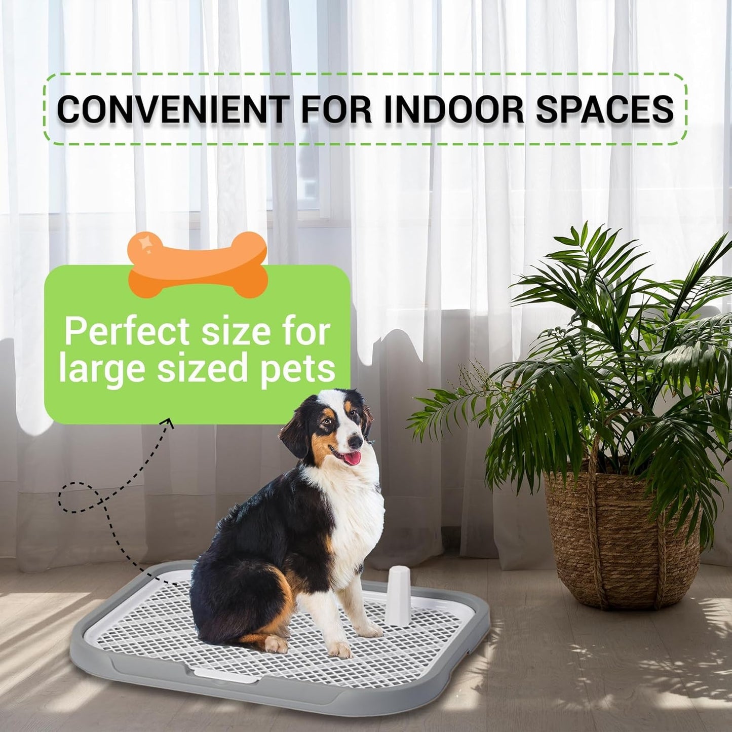 Dog Potty Training Toilet – Plastic Pee Pad Holder with Removable Net, Anti-Splash Guard & Easy Clean Tray