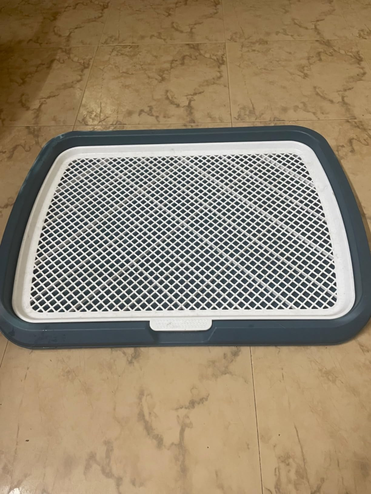 Dog Potty Training Toilet – Plastic Pee Pad Holder with Removable Net, Anti-Splash Guard & Easy Clean Tray