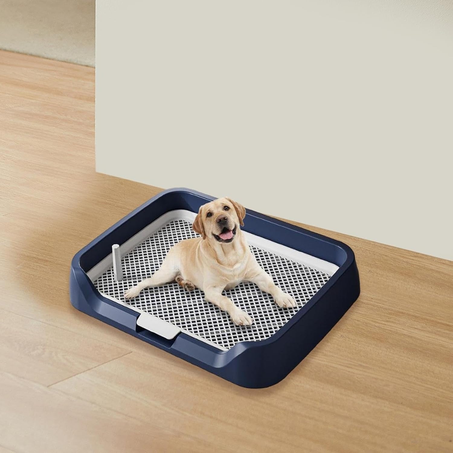 Dog Potty Training Toilet – Plastic Pee Pad Holder with Removable Net, Anti-Splash Guard & Easy Clean Tray