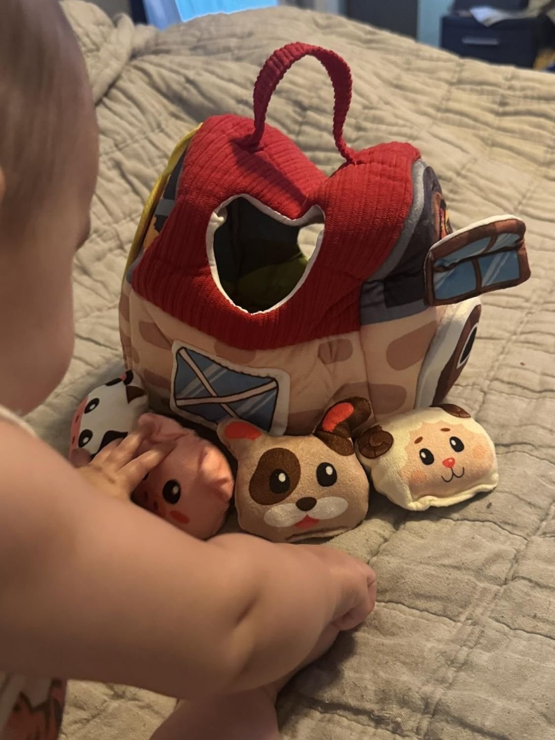 Farm Animals Baby Toy with Mirror and Easy-to-Carry Handle, Safe for Ages 6+ Months