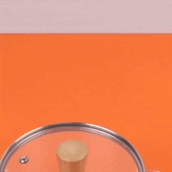Heat Resistant Borosilicate Glass Cooking Pot with Dual Handles, Fridge & Freezer Safe