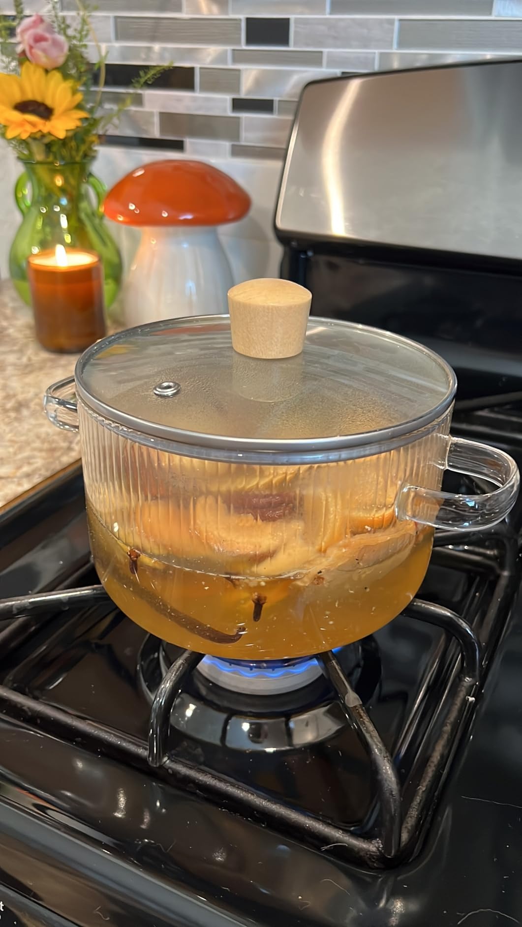 Heat Resistant Borosilicate Glass Cooking Pot with Dual Handles, Fridge & Freezer Safe