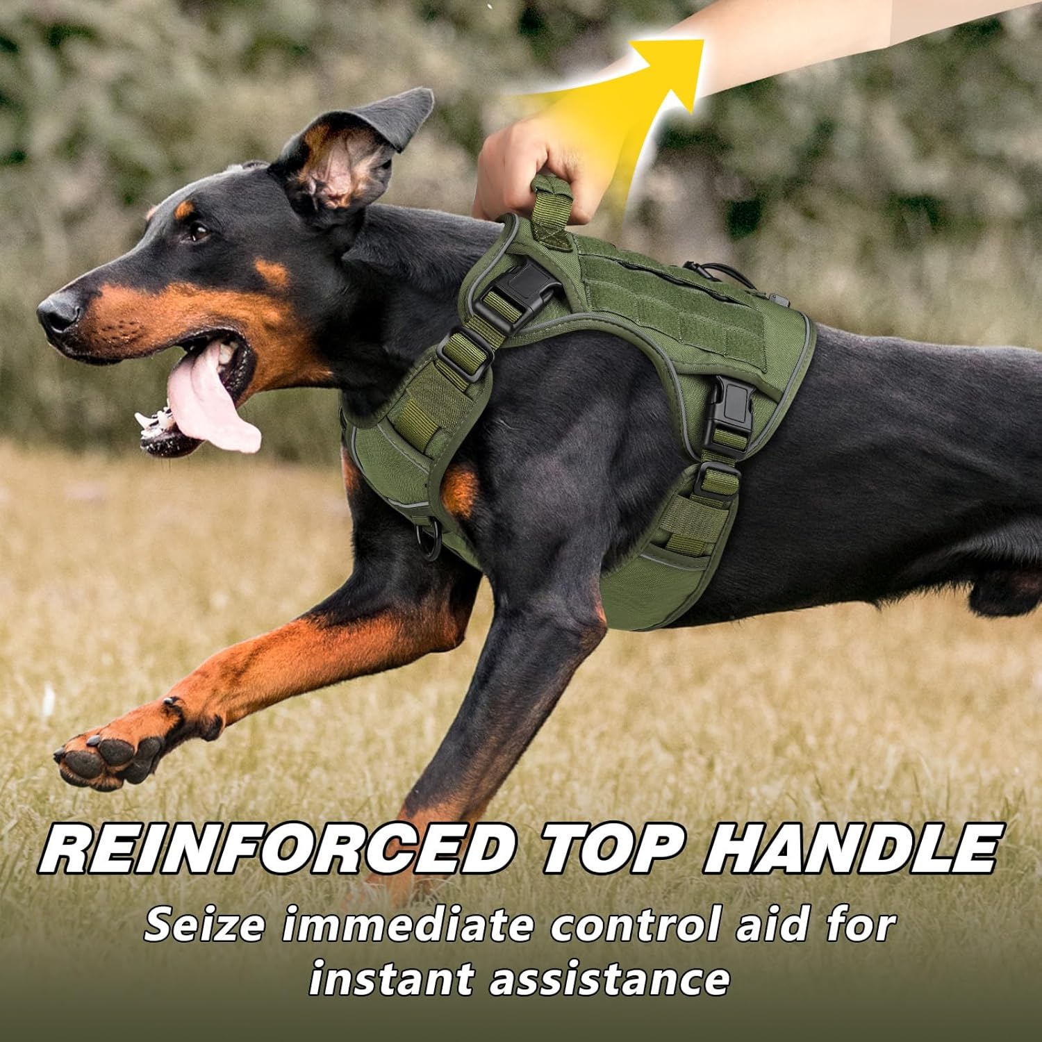 Large Dog Harness and Leash Set – No-Pull Training Vest with Collar, Made from Military-Standard 1050D Nylon