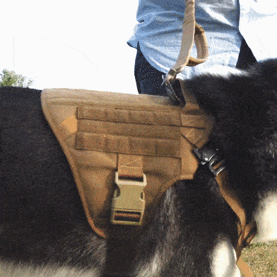 Large Dog Harness and Leash Set – No-Pull Training Vest with Collar, Made from Military-Standard 1050D Nylon