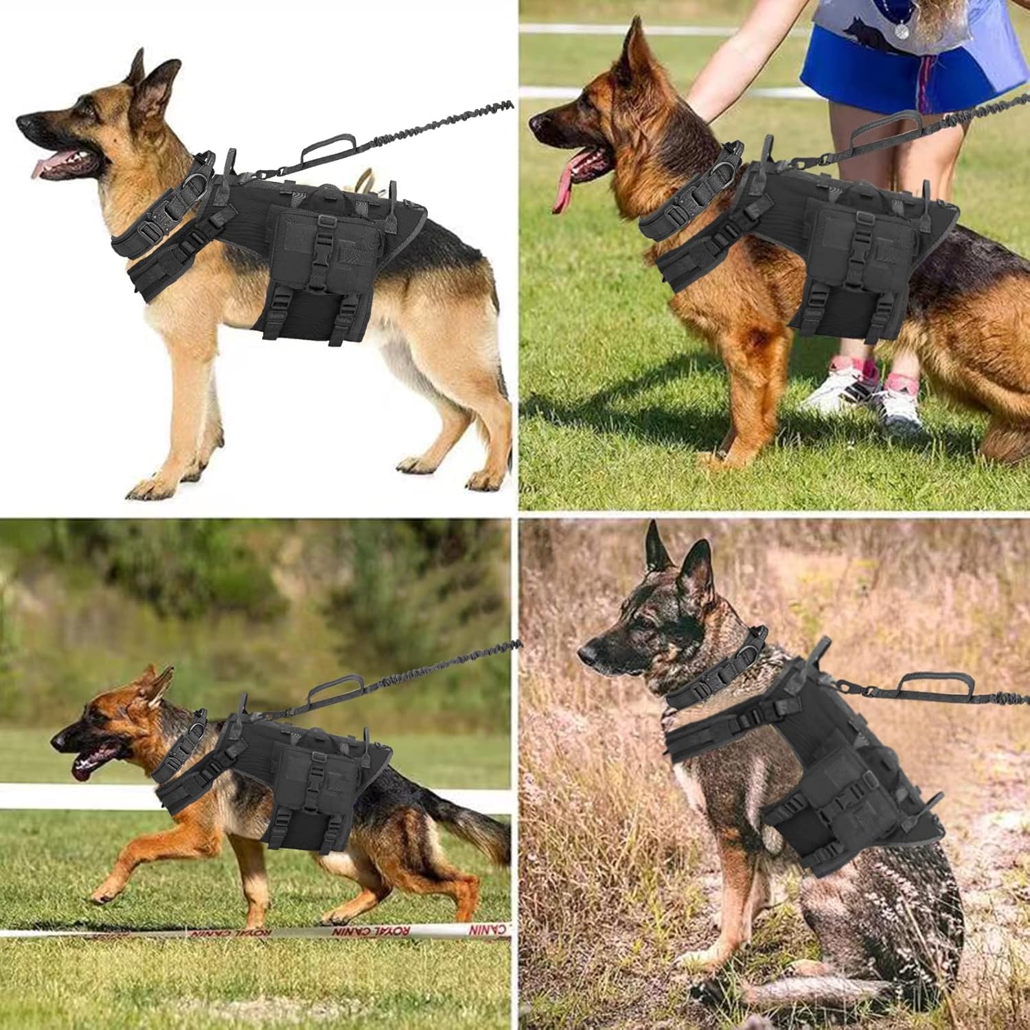 Large Dog Harness and Leash Set – No-Pull Training Vest with Collar, Made from Military-Standard 1050D Nylon