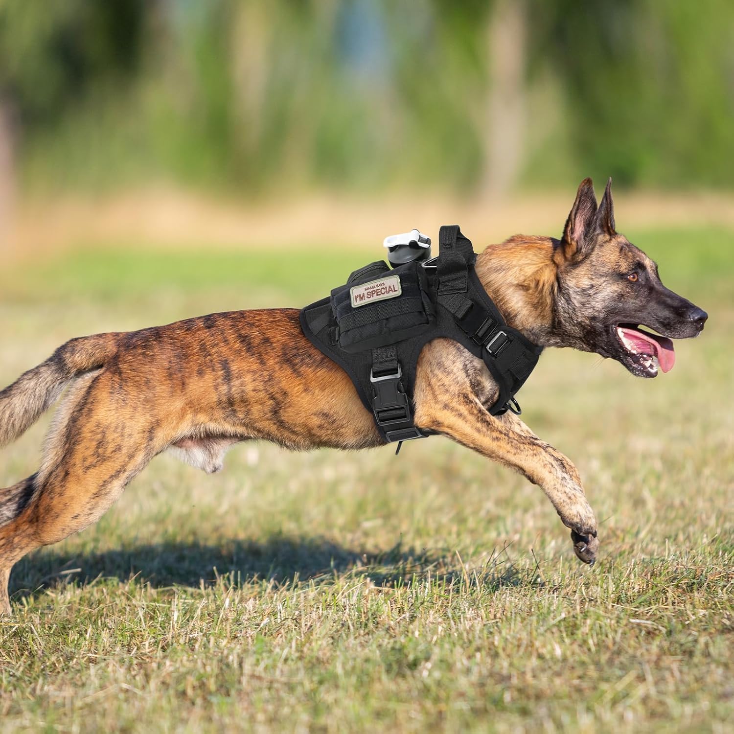 Large Dog Harness and Leash Set – No-Pull Training Vest with Collar, Made from Military-Standard 1050D Nylon