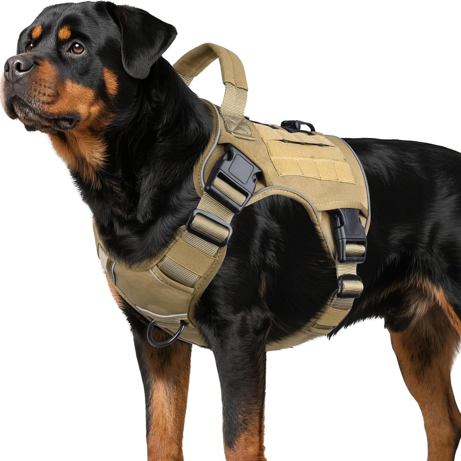 Large Dog Harness and Leash Set – No-Pull Training Vest with Collar, Made from Military-Standard 1050D Nylon