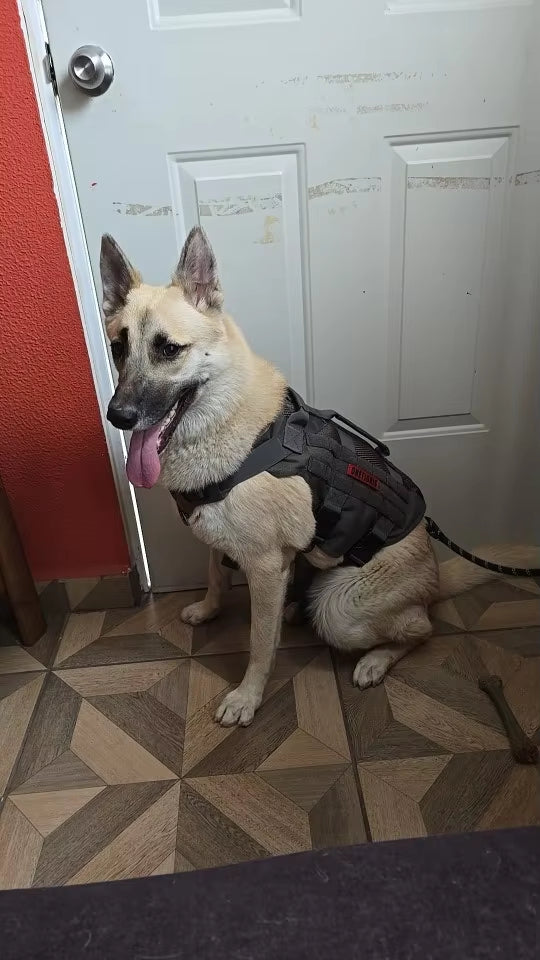 Large Dog Harness and Leash Set – No-Pull Training Vest with Collar, Made from Military-Standard 1050D Nylon