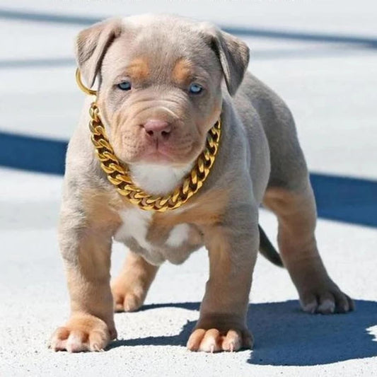 Luxury Gold Dog Chain Necklace for Pets