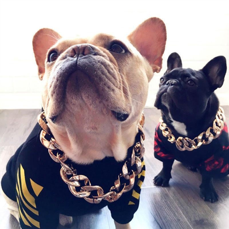 Luxury Gold Dog Chain Necklace for Pets