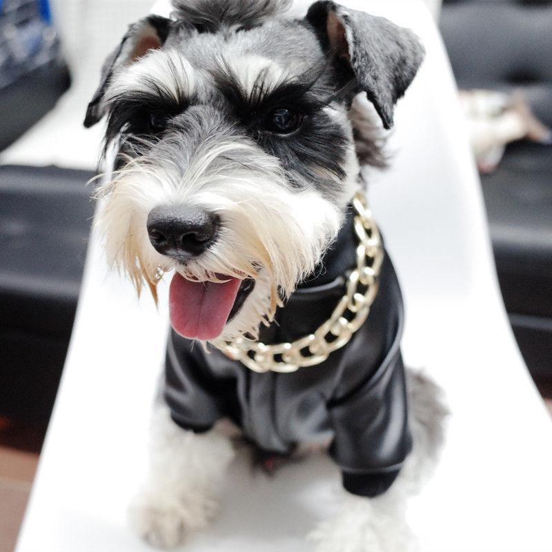 Luxury Gold Dog Chain Necklace for Pets
