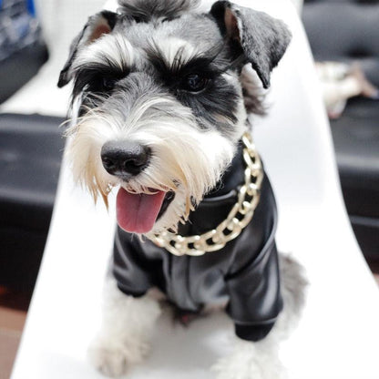 Luxury Gold Dog Chain Necklace for Pets