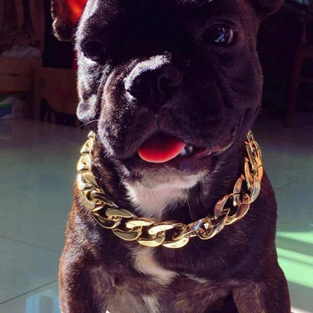 Luxury Gold Dog Chain Necklace for Pets