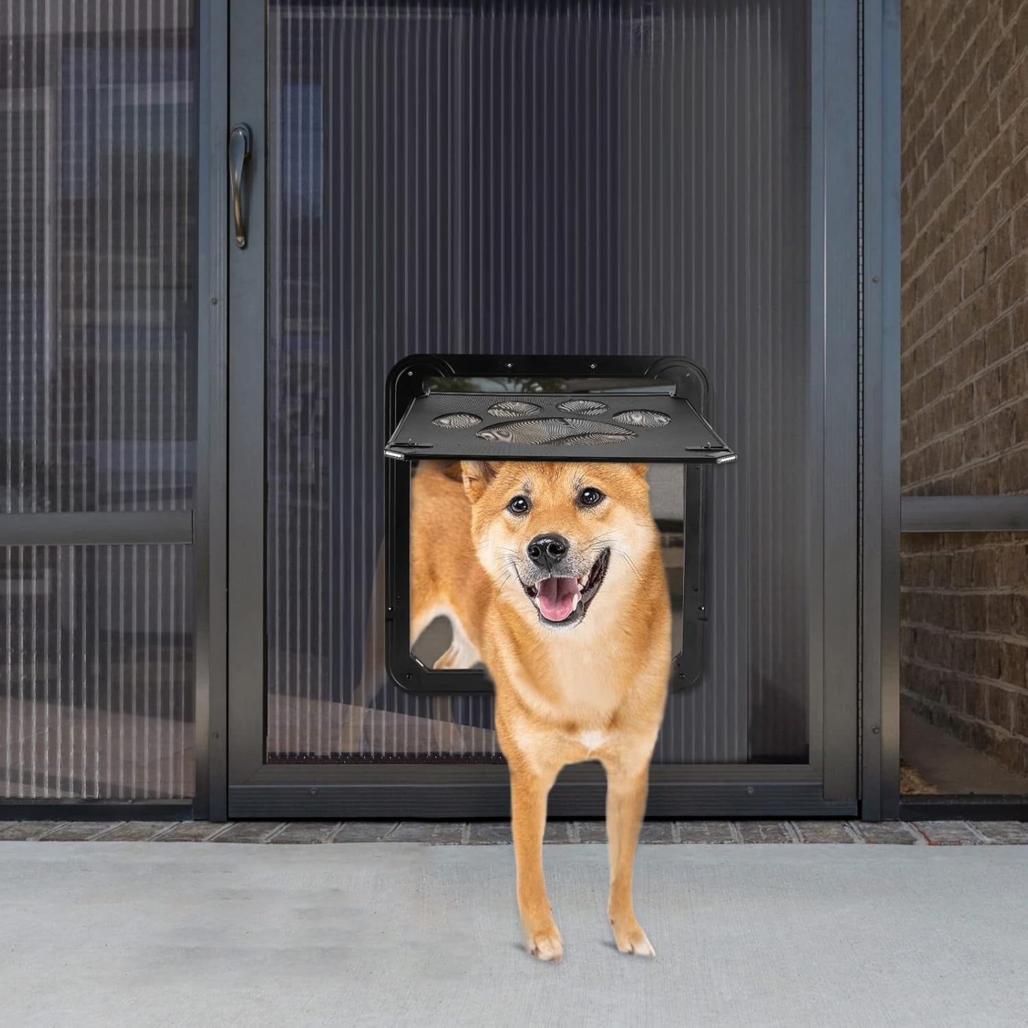 Magnetic Locking Cat and Dog Door with ABS Flap for Cats & Small Dogs, Easy Installation, Scratch Resistant