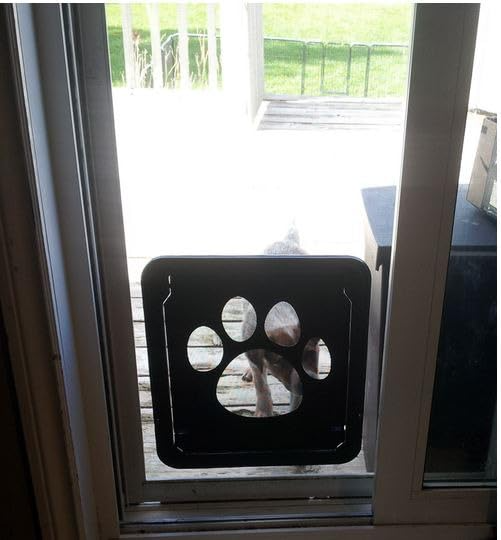 Magnetic Locking Cat and Dog Door with ABS Flap for Cats & Small Dogs, Easy Installation, Scratch Resistant
