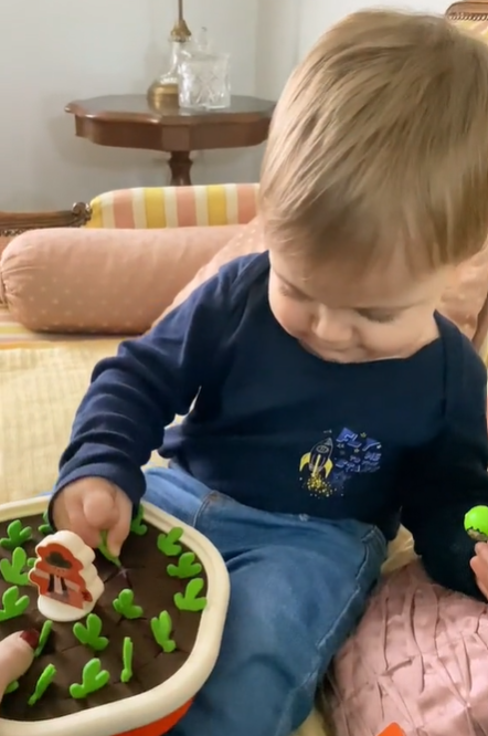 Montessori Carrot Toys With Diverse Colors, Fun Designs, Boost Kids’ Memory, Safe for Ages 3+.
