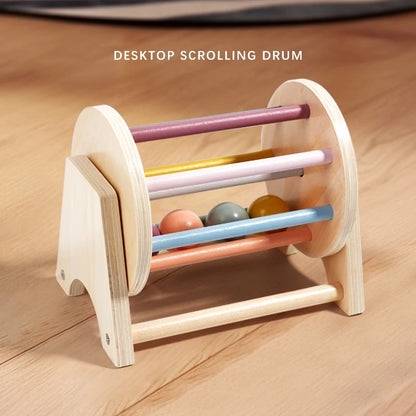 Montessori Wooden Ball Tracker Toy with Color and Shape Recognition, Fine Motor Skill Development, Safe for Months 7+