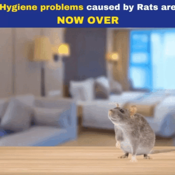 Peppermint Oil Rodent Repellent Spray with Eco-Friendly Ingredients for Home Use
