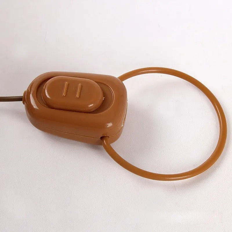 Remote Control Walking Singing Pony Toy