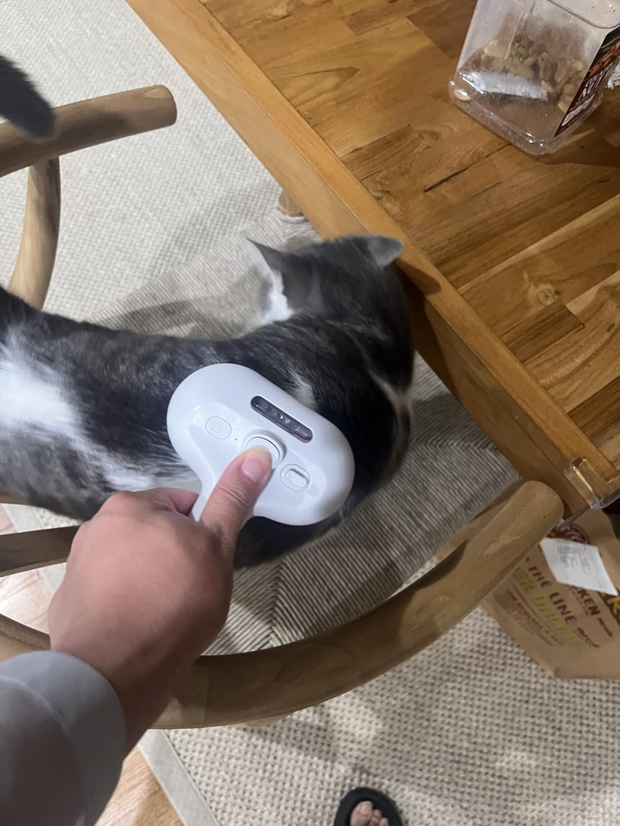 Self-Cleaning Spray Brush for Cats with One-Touch Hair Removal Design, Durable and Lightweight ABS Material
