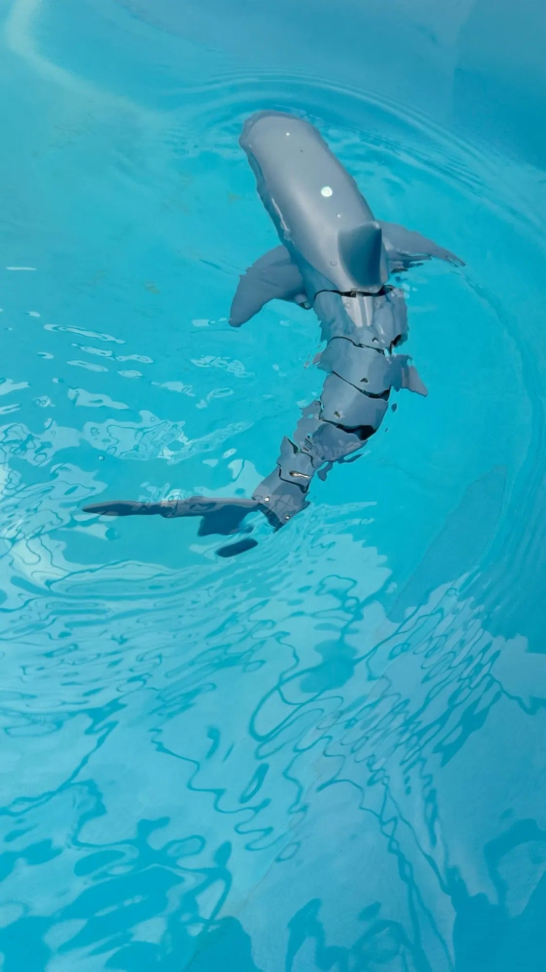 Shark Whale Spray Water Toy with 2.4G Remote Control, Bionic Spine, Realistic Swimming - Safe for Ages 6+