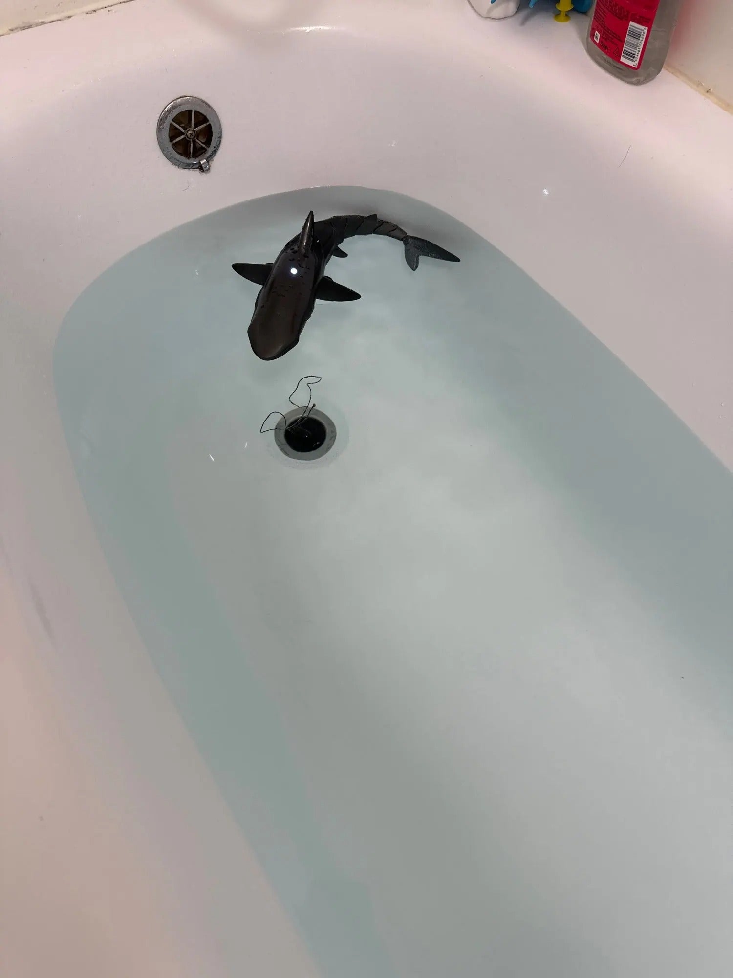 Shark Whale Spray Water Toy with 2.4G Remote Control, Bionic Spine, Realistic Swimming - Safe for Ages 6+