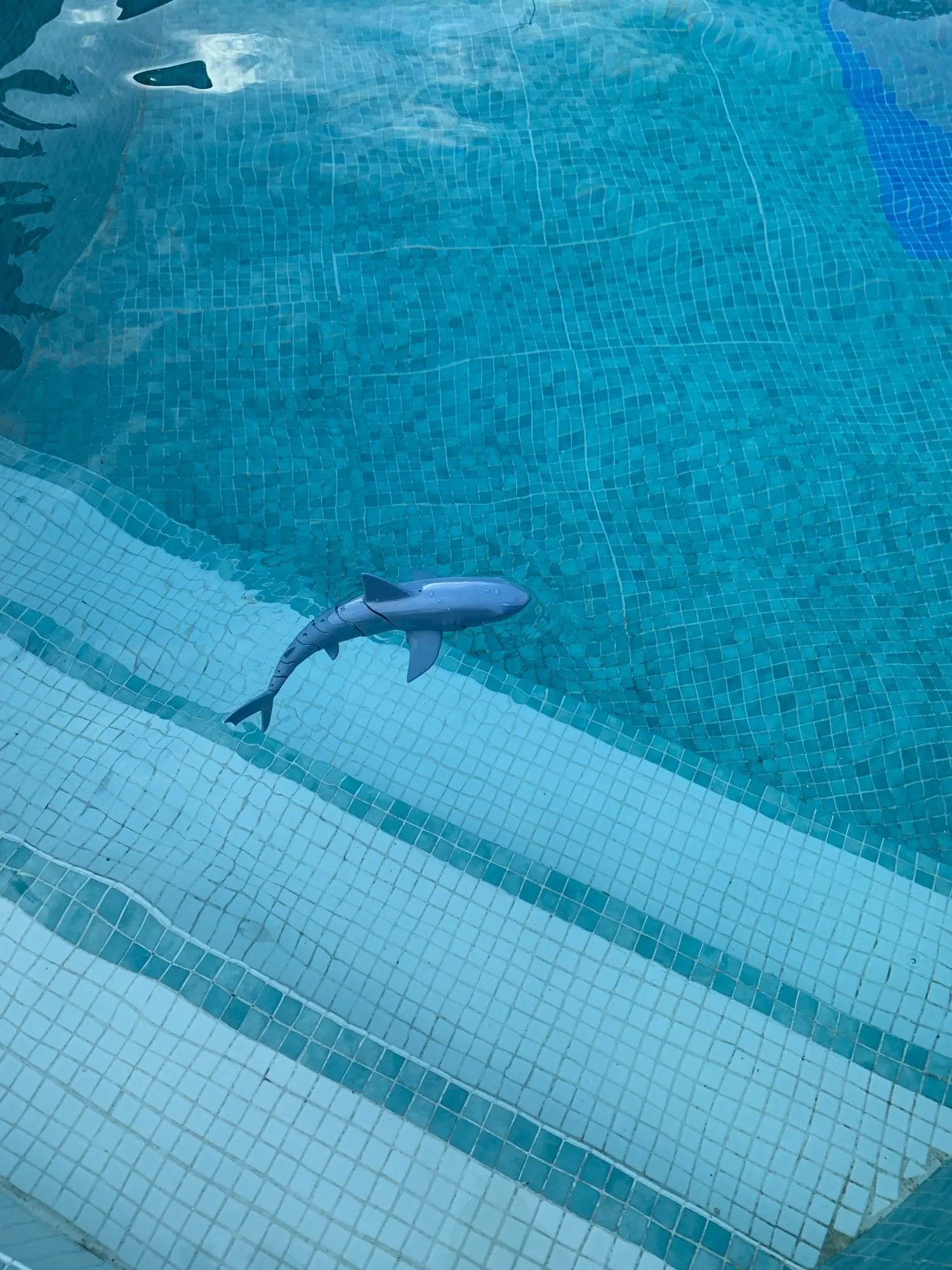 Shark Whale Spray Water Toy with 2.4G Remote Control, Bionic Spine, Realistic Swimming - Safe for Ages 6+