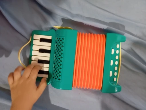 Simple Accordion Designed for Small Hands