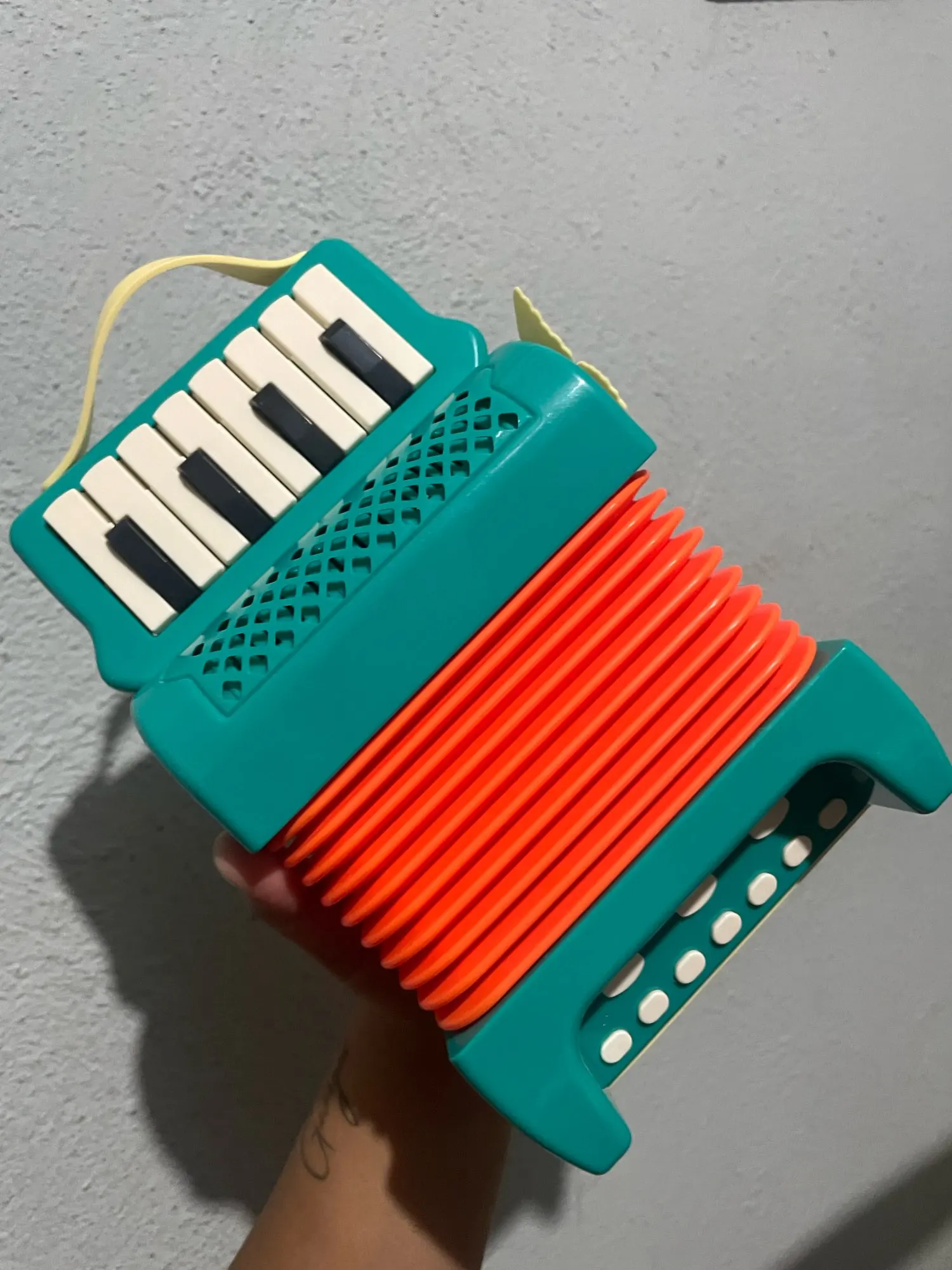 Simple Accordion Designed for Small Hands