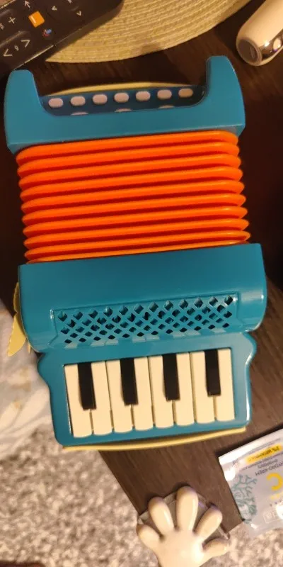 Simple Accordion Designed for Small Hands